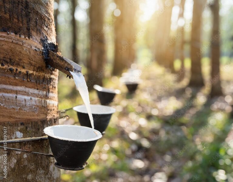 【知っておきたい】EPDMの硬度とは？選び方と活用法を徹底解説 | ゴム製造業のメディアサイト